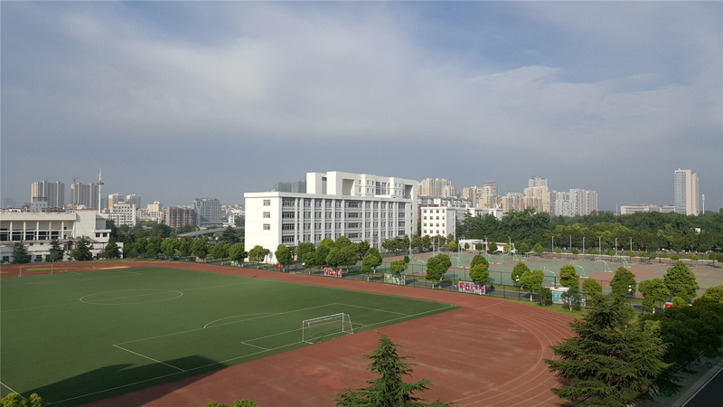 标准运动场.jpg