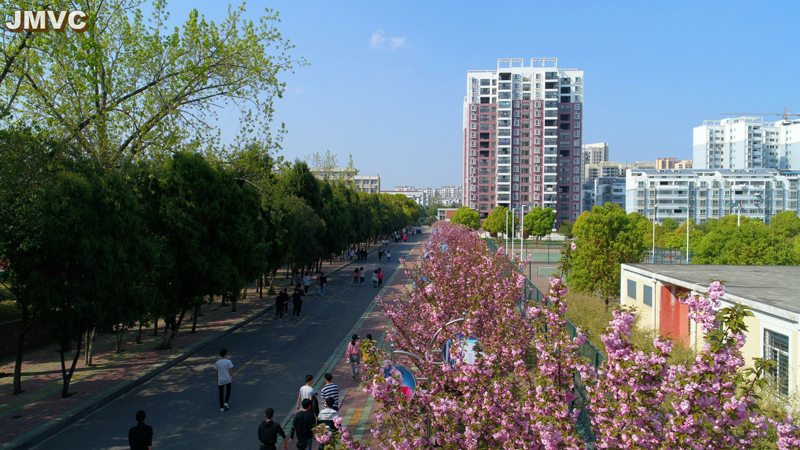 鸟瞰云樱路.jpg