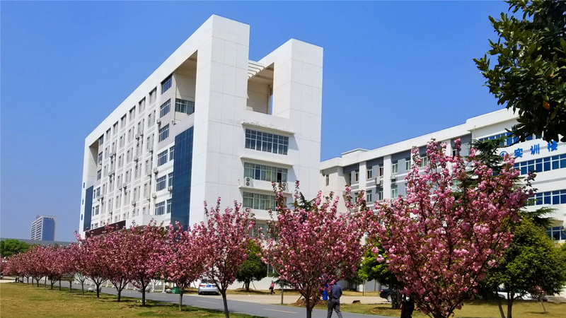 校园花景1.jpg