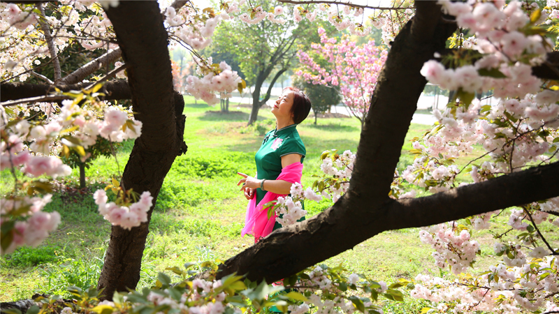 校园花景5.jpg