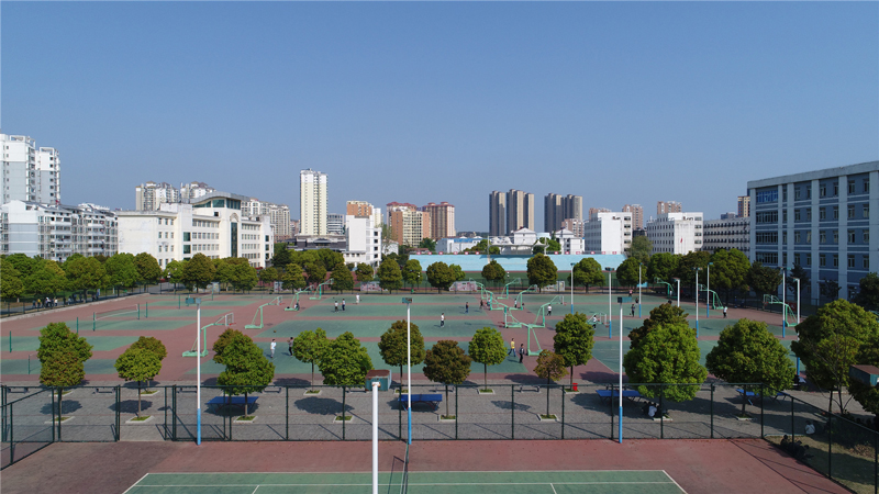 运动场地.jpg