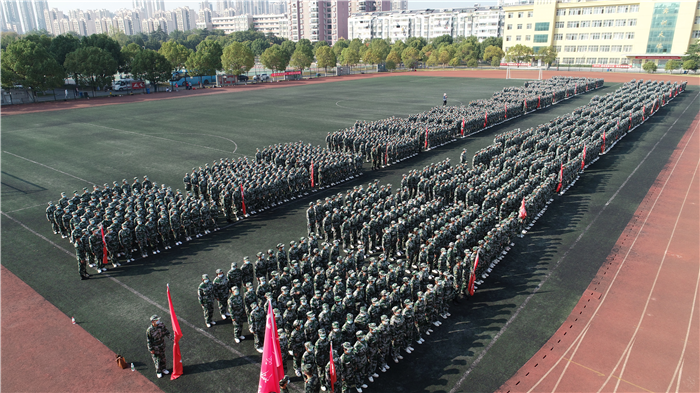 图片10.png 图片10.png