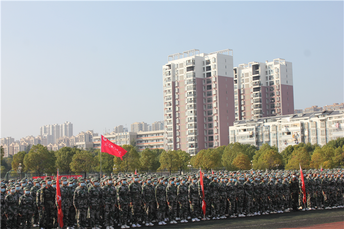 图片12.png 图片12.png
