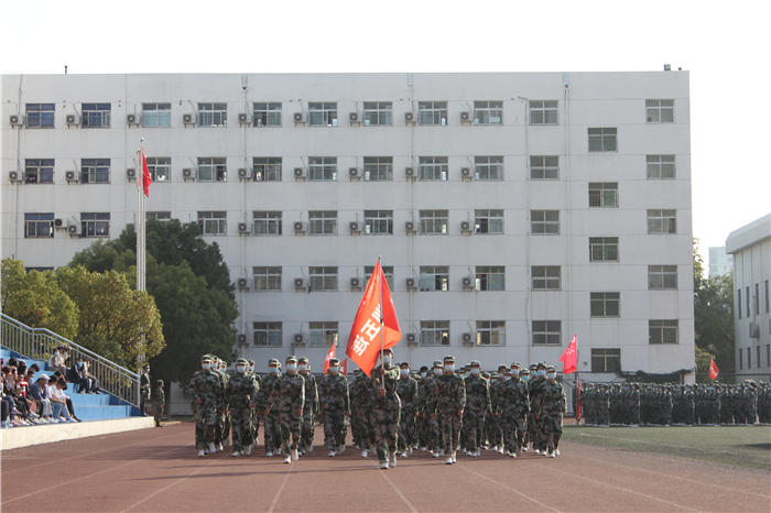 图片14.png 图片14.png