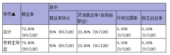 2019届毕业生就业质量报告