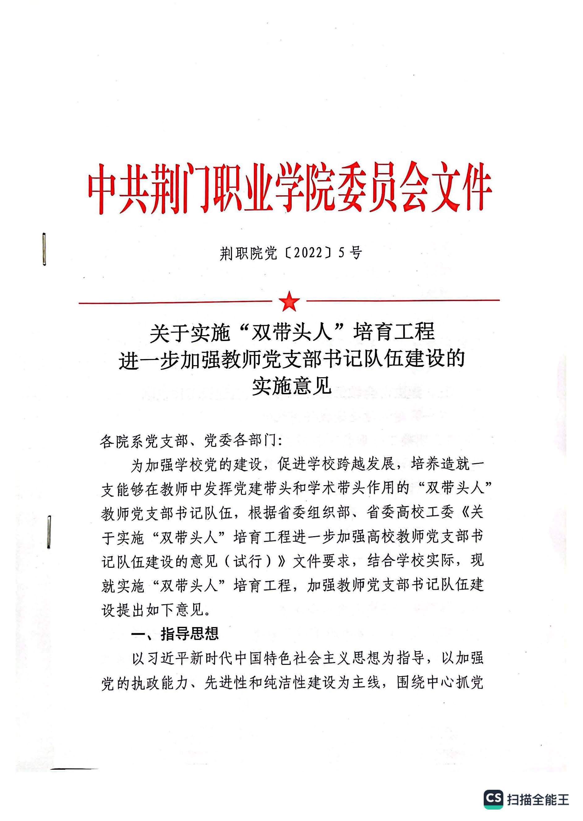 关于实施“双带头人”培育工程进一步加强教师党支部书记队伍建设的实施意见
