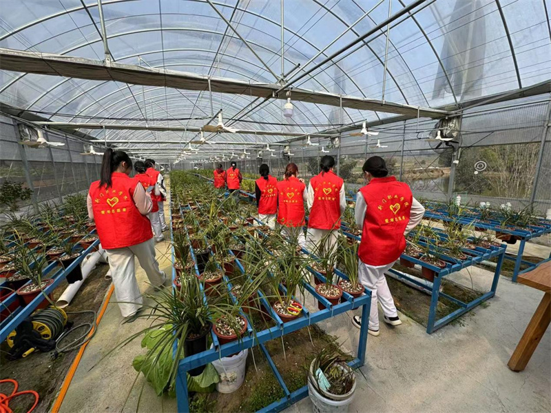 看产业 赏“荆”景 ——荆门职业学院医学院杏林春晖志愿者服务队走进益禾园