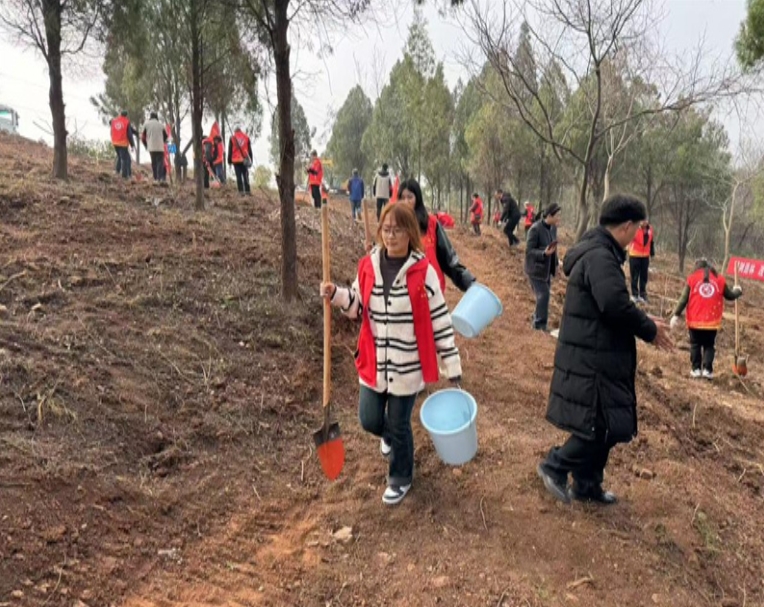 微信截图_20250312090625.png